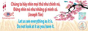 Chúng ta hãy nhìn mọi thứ như chính nó